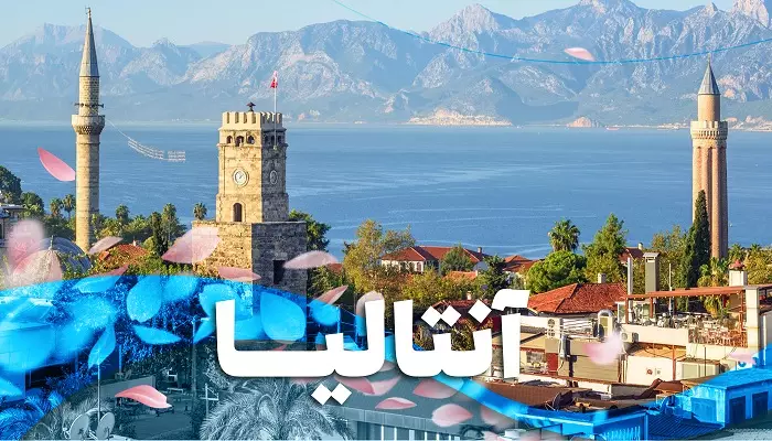 گروه PAP.Echo.Application.Query.Contract.TourGroups.Dtos.TourGroupSummaryDto