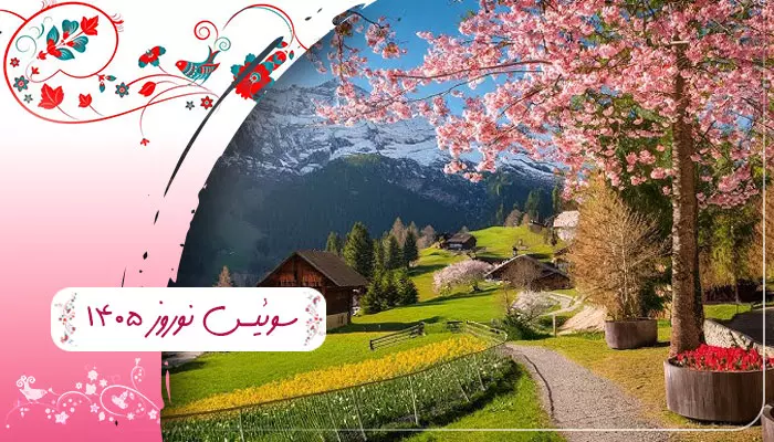 گروه PAP.Echo.Application.Query.Contract.TourGroups.Dtos.TourGroupSummaryDto