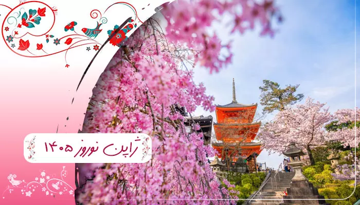 گروه PAP.Echo.Application.Query.Contract.TourGroups.Dtos.TourGroupSummaryDto